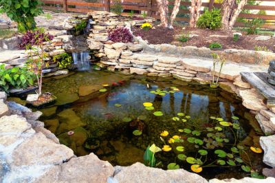 Winter Pond Limitations